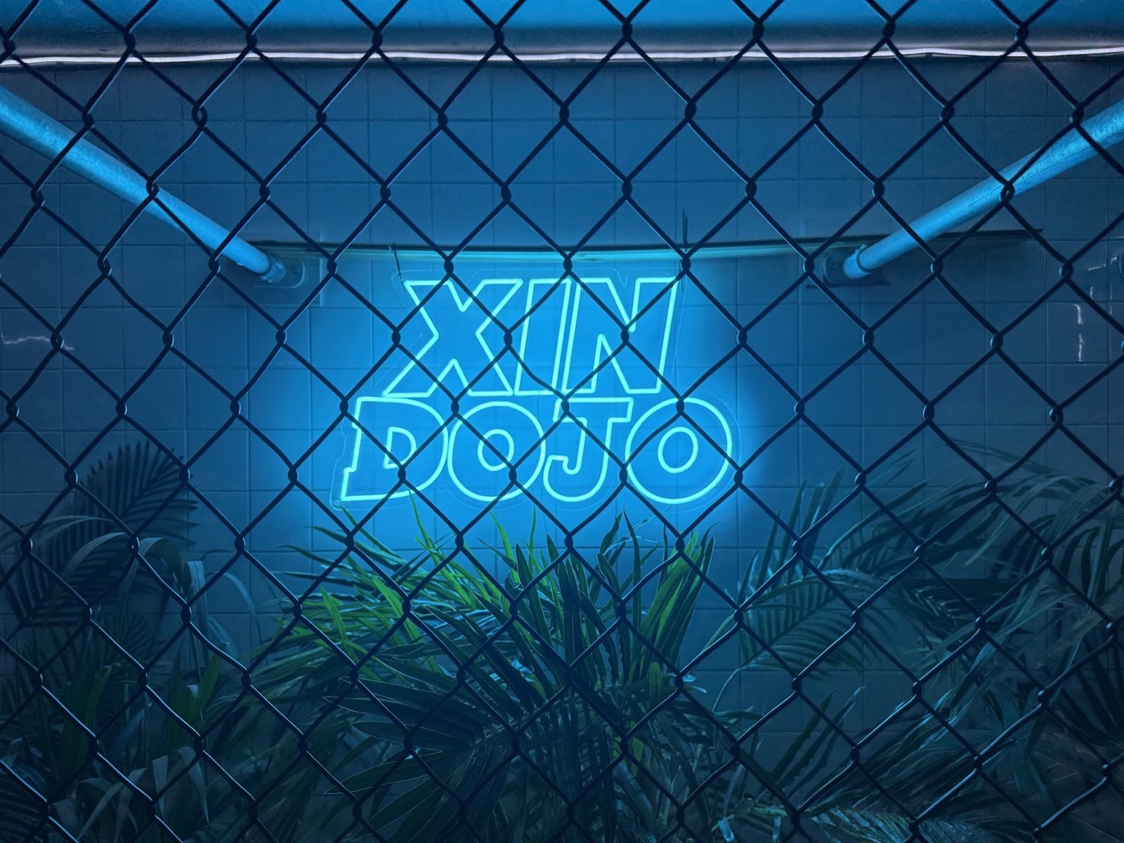 Xin Dojo photo (Gym's own website)